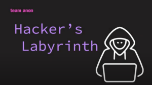 Cover image for original video game Hacker's Labyrinth created by Game Development and Design students at UT Austin